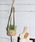 studio CLIPiX^fBINbvj́unMO|bg 8it[x[XjvbO[