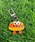 WEGO�i�E�B�S�[�j�́uWEGO/�t�[�h�����X�^�[�L�[�z���_�[�i�L�[�z���_�[�j�v�b���̑�9