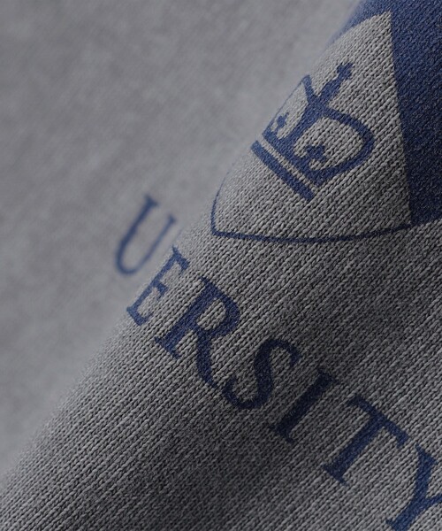 SHIPS(シップス)の「SHIPS: IVY Tシャツ by DISCUS(Tシャツ/カットソー・メンズ・ホワイト/ネイビー/ブラウン/グレー・MEDIUM/LARGE)」の10枚目の写真