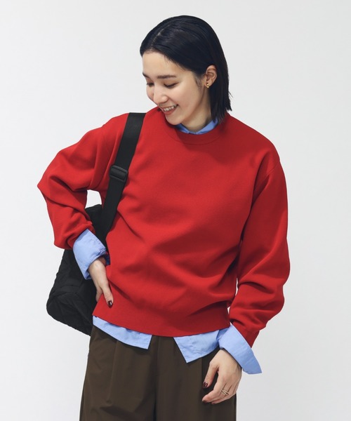 TIGORA(ティゴラ)の「ティゴラ TIGORA ウォッシャブルニットクルーネック(ニット/セーター・レディース・グレー/ホワイト×ブラック/ブラック/ベージュ/ロイヤルブルー/ブラウン/レッド・S/M/L/XL)」の7枚目の写真
