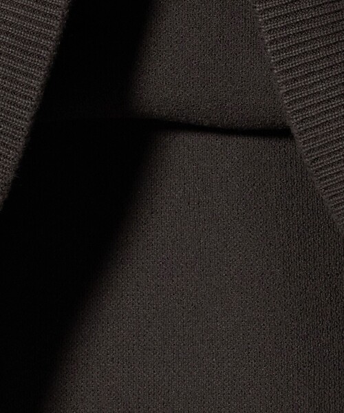 LACOSTE（ラコステ）の「＜LACOSTE for BEAUTY&YOUTH＞クルーネック スウェット（ニット/セーター・メンズ・ブラウン系/ブラック/ライトグレー・M/XL/S/L）」の8枚目の写真