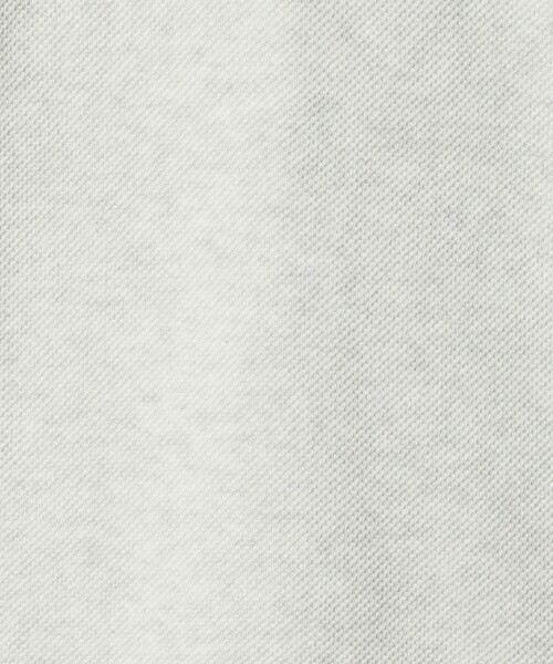 LACOSTE（ラコステ）の「＜LACOSTE for BEAUTY&YOUTH＞クルーネック スウェット（ニット/セーター・メンズ・ブラウン系/ブラック/ライトグレー・M/XL/S/L）」の13枚目の写真