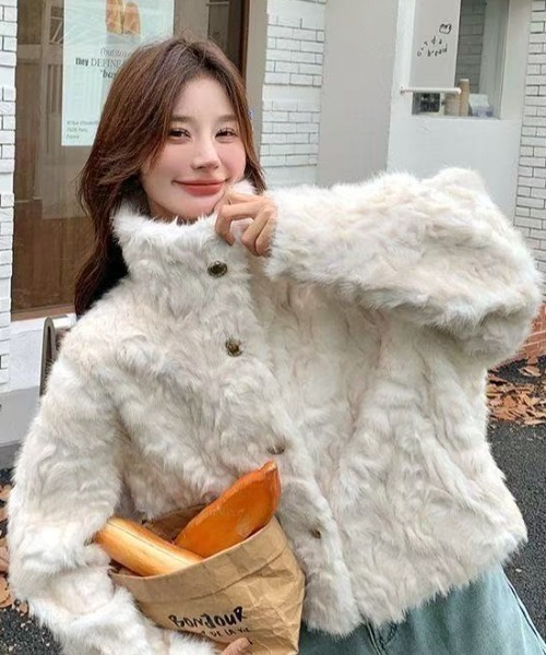 セール】ファーショートスタンドジャケット（ブルゾン）｜Achic