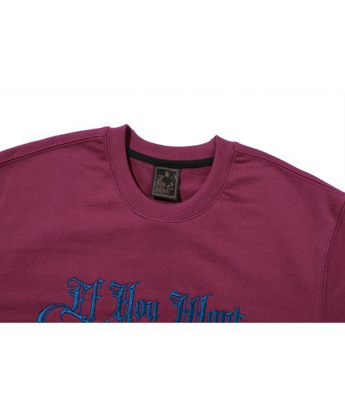 IFYOUWANT（イフユーウォント）の「Shimmer LOGO Sweatshirt OPERA（スウェット・レディース・その他・ONE SIZE）」の4枚目の写真
