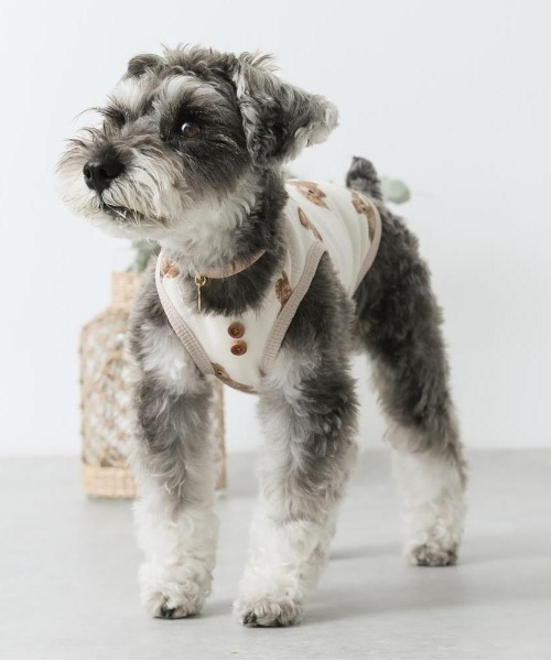 moncheri（モンシェリ）の「くまさんパイピングトップス / 犬服 / ドッグウェア（ペットウェア・レディース・アイボリー・S/M/L/XL）」の11枚目の写真