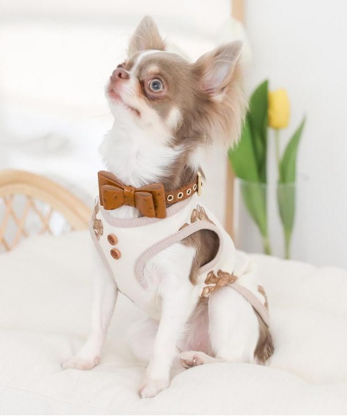 moncheri（モンシェリ）の「くまさんパイピングトップス / 犬服 / ドッグウェア（ペットウェア・レディース・アイボリー・S/M/L/XL）」の4枚目の写真