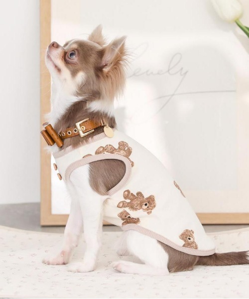 moncheri（モンシェリ）の「くまさんパイピングトップス / 犬服 / ドッグウェア（ペットウェア・レディース・アイボリー・S/M/L/XL）」の5枚目の写真