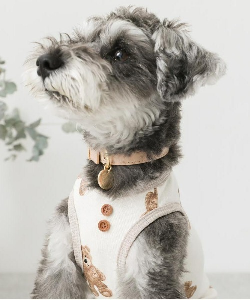 moncheri（モンシェリ）の「くまさんパイピングトップス / 犬服 / ドッグウェア（ペットウェア・レディース・アイボリー・S/M/L/XL）」の12枚目の写真