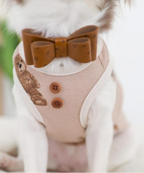 moncheri（モンシェリ）の「くまさんパイピングトップス / 犬服 / ドッグウェア（ペットウェア・レディース・アイボリー・S/M/L/XL）」の15枚目の写真