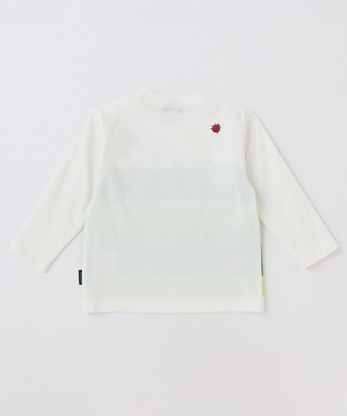 kladskap(クレードスコープ)の「昆虫グラフィック長袖Tシャツ(Tシャツ/カットソー・キッズ・オフホワイト・130cm/80cm/90cm/110cm/100cm/120cm)」の4枚目の写真