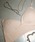 JOSE MOON�i�W���[���[���j�́uBRA TOP/�u���g�b�v�i���̑��A���_�[�E�F�A/�C���i�[�j�v�b�x�[�W��