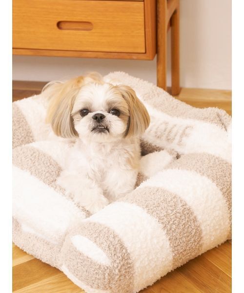 仔猫丸【ジェラートピケ】猫 ネコモコ セット gelato pique（ジェラートピケ）【CAT&DOG】【販路限定商品】ベビモコ