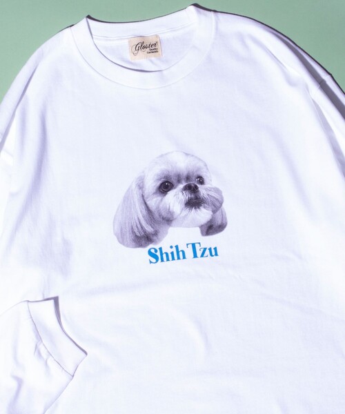 GLOSTER(グロスター)の「【人気シリーズ】【DOG&CAT】犬猫プリント クルーネックロンT(Tシャツ/カットソー・メンズ・ホワイト系その他5/ホワイト系その他/ホワイト系その他3/ホワイト系その他6/ホワイト系その他2/ホワイト系その他4・S/M/L)」の4枚目の写真