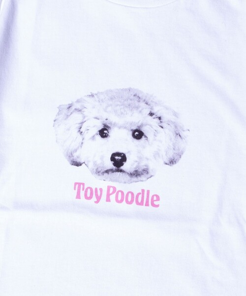 GLOSTER(グロスター)の「【人気シリーズ】【DOG&CAT】犬猫プリント クルーネックロンT(Tシャツ/カットソー・メンズ・ホワイト系その他5/ホワイト系その他/ホワイト系その他3/ホワイト系その他6/ホワイト系その他2/ホワイト系その他4・S/M/L)」の17枚目の写真