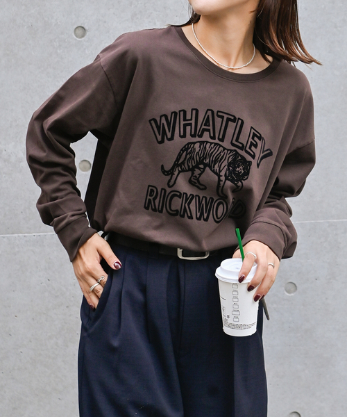 OUTDOOR PRODUCTS(アウトドアプロダクツ)の「SCREEN STARS ex ピグメントロンT(Tシャツ/カットソー・レディース・ブラウン・FREE)」の2枚目の写真