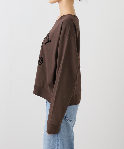 OUTDOOR PRODUCTS(アウトドアプロダクツ)の「SCREEN STARS ex ピグメントロンT(Tシャツ/カットソー・レディース・ブラウン・FREE)」の14枚目の写真