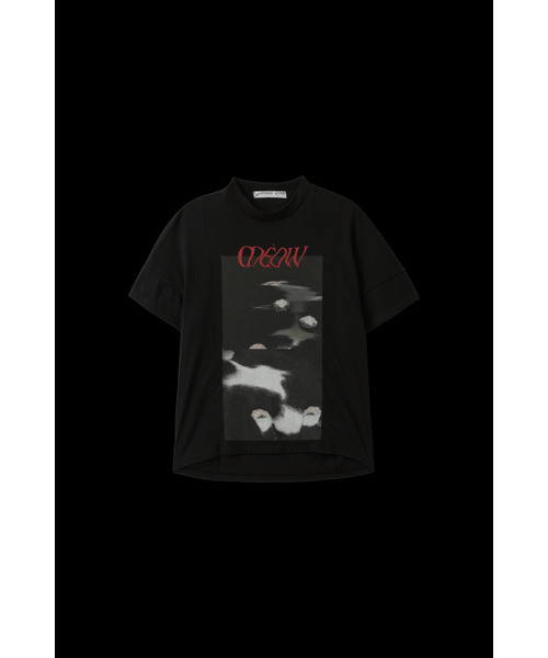 ACCEPTANCELETTERSTUDIO(アクセプタンス レター スタジオ)の「ネコのソックスがTシャツ、ブラック(Tシャツ/カットソー・レディース・その他・S/M/M/L)」の1枚目の写真