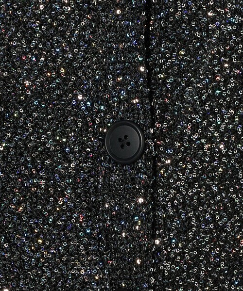 H　BEAUTY&YOUTH UNITED ARROWS（エイチビューティーアンドユースユナイテッドアローズ）の「＜H＞スパンコールヤーン ショート ニットベスト（カーディガン/ボレロ・レディース・ブラック・FREE）」の4枚目の写真