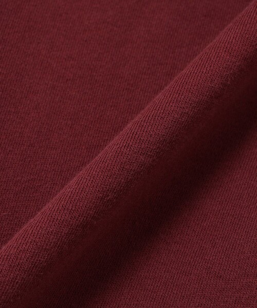 Champion(チャンピオン)の「【別注】Champion / ジップ フーデッド スウェット シャツ(スウェット・レディース・ブラック系その他/ワイン系1・ONE SIZE)」の10枚目の写真