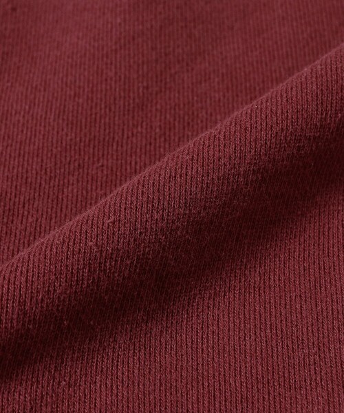 Champion(チャンピオン)の「【別注】Champion / ジップ フーデッド スウェット シャツ(スウェット・レディース・ブラック系その他/ワイン系1・ONE SIZE)」の21枚目の写真