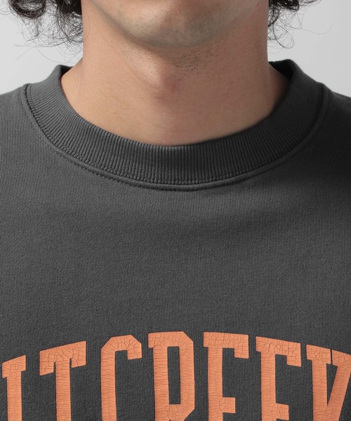 BAYFLOW（ベイフロー）の「プリントスウェット L/S（スウェット・メンズ・その他5/チャコール/ライトピンク・LARGE/MEDIUM）」の15枚目の写真