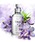 imp.iCvj́uimp.8 WISTERIA BLOSSOM Cv EBXeAubT I[hpt@ 70mL ijvb̑