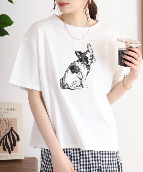 BARNDOOR(バーンドア)の「天竺アニマル Tシャツ 26SS(Tシャツ/カットソー・レディース・ネイビー系3/グレー系2/ホワイト系2/ホワイト系1/グレー系1/ホワイト系4/ブラック系4/ホワイト系3・FREE)」の1枚目の写真