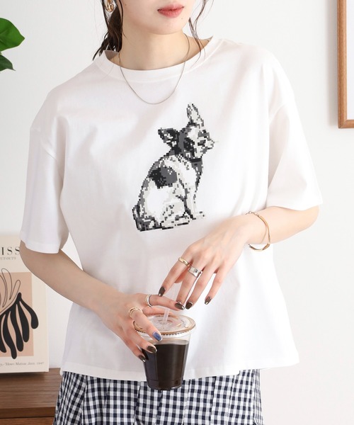 BARNDOOR 20天竺Tシャツ（Tシャツ/カットソー）｜BARNDOOR
