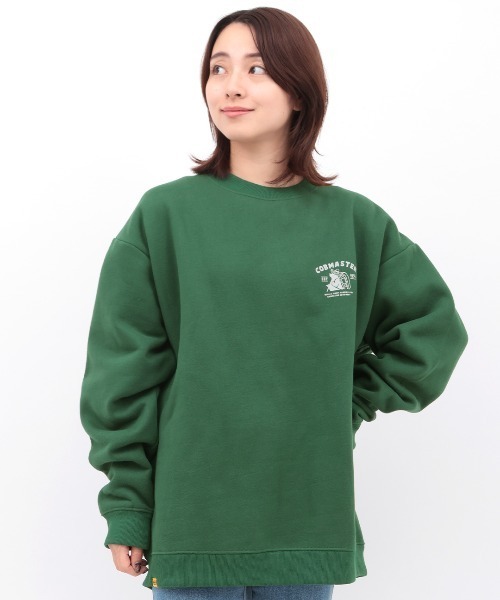 チチカカ（チチカカ）の「COBMASTER マチュピチュバックプリントプルオーバー（スウェット・メンズ・グリーン/その他1/ブラック・FREE）」の16枚目の写真