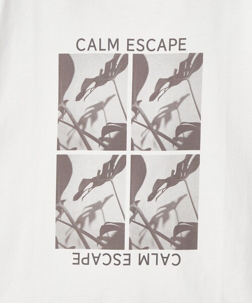 CITEN(シテン)の「<CITEN>フォトT(Tシャツ/カットソー・レディース・ブラック/その他3/その他1・FREE)」の20枚目の写真