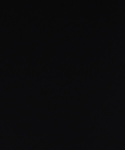 INDIVI(インディヴィ)の「◆【定番スーツ/通勤/洗える】ストレートスカート(スカート・レディース・ベージュ系5/ネイビー/ブラック・03/13/38/15 /19/05/12/34/36/17/40/42)」の16枚目の写真