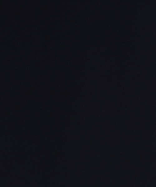 INDIVI(インディヴィ)の「◆【定番スーツ/通勤/洗える】ストレートスカート(スカート・レディース・ベージュ系5/ネイビー/ブラック・03/13/38/15 /19/05/12/34/36/17/40/42)」の19枚目の写真