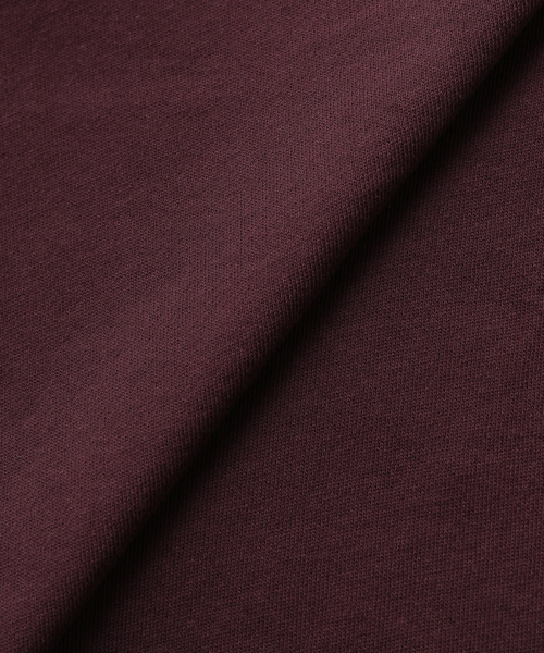 JOURNAL STANDARD relume(ジャーナルスタンダード レリューム)の「ハーフジップライトスウェット(Tシャツ/カットソー・レディース・ネイビー/ボルドー・FREE)」の22枚目の写真