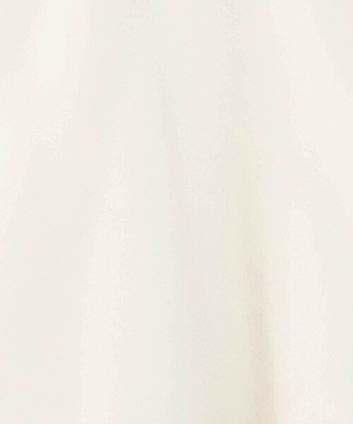 ASTRAET（アストラット）の「＜ASTRAET＞ シアー パフスリーブカットソー（Tシャツ/カットソー・レディース・ナチュラル/ブラック・FREE）」の9枚目の写真