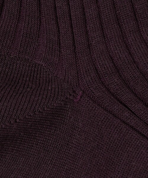 Pantherella（パンセレラ）の「＜Pantherella＞カラー リブソックス（ソックス/靴下・メンズ・ブラウン系/ダークグリーン/ライトブルー/ネイビー/マスタード/ダークグレー/レッド/ダークブラウン・S）」の11枚目の写真