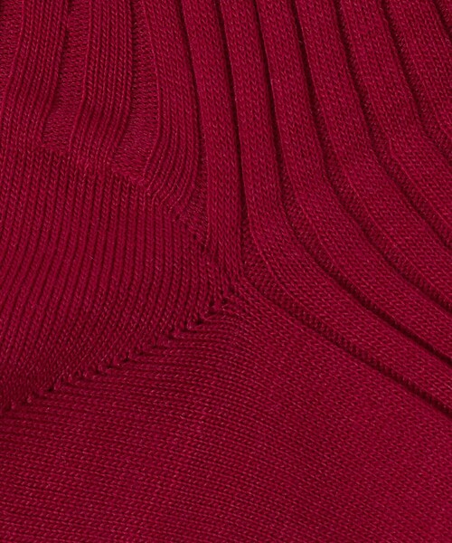 Pantherella（パンセレラ）の「＜Pantherella＞カラー リブソックス（ソックス/靴下・メンズ・ブラウン系/ダークグリーン/ライトブルー/ネイビー/マスタード/ダークグレー/レッド/ダークブラウン・S）」の13枚目の写真