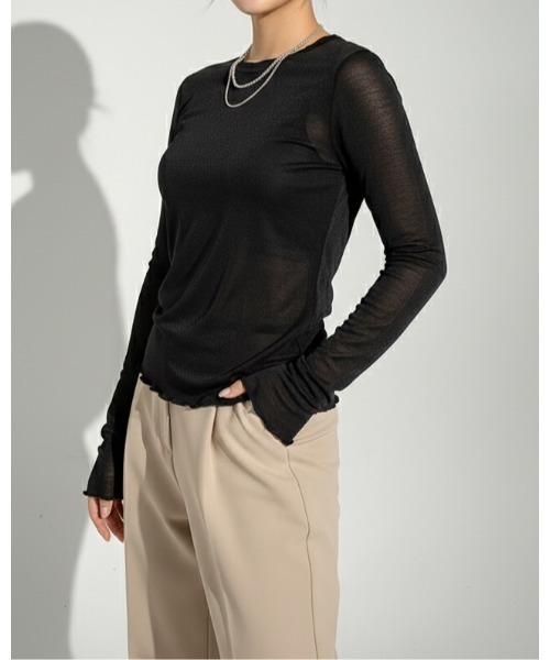 SOTT(ソット)の「2wayシアーラメトップス(Tシャツ/カットソー・レディース・ブラック/グレー/ブラウン/ホワイト・FREE)」の2枚目の写真