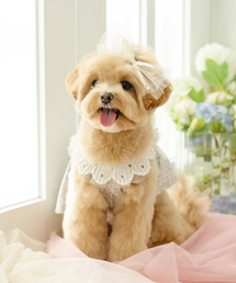 MY LITTLE DOG（マイ リトル ドッグ）の「Bebe Bow One Piece（ペットウェア）」