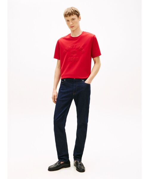TOMMY HILFIGER(トミーヒルフィガー)の「ICON PIQUE INTERLOCK GRAPHIC TEE(Tシャツ/カットソー・メンズ・ホワイト/マルチ・MEDIUM/SMALL/LARGE/X-LARGE)」の14枚目の写真