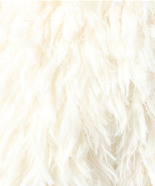 SLY(スライ)の「【ViVi 3月号掲載】FLUFFY COAT(その他アウター・レディース・オフホワイト/ベージュ・2/1)」の11枚目の写真