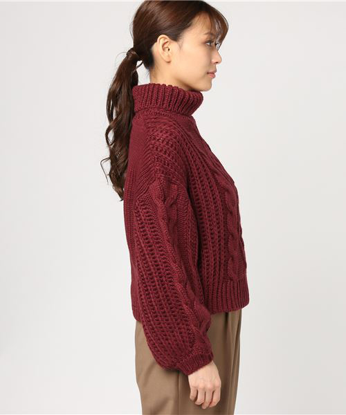 WEGO（ウィゴー）の「WEGO/ロービングケーブルタートルニット（ニット/セーター・レディース・ベージュ/ワイン/サックスブルー/イエロー・FREE）」の14枚目の写真