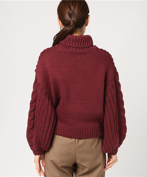 WEGO（ウィゴー）の「WEGO/ロービングケーブルタートルニット（ニット/セーター・レディース・ベージュ/ワイン/サックスブルー/イエロー・FREE）」の15枚目の写真