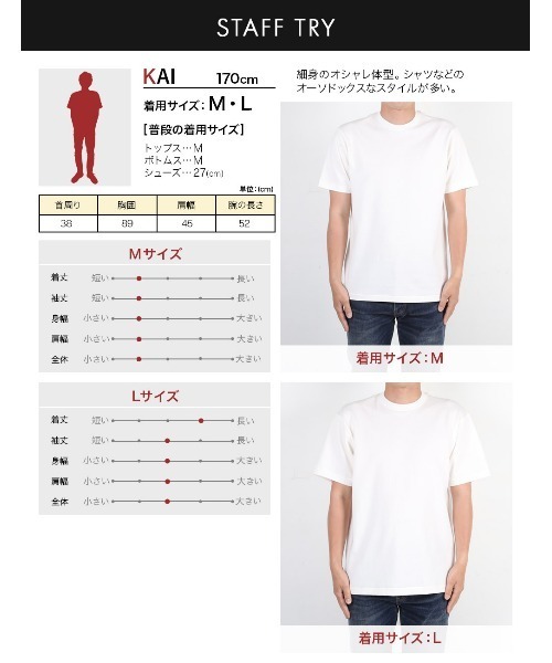 HANES(ヘインズ)の「Hanes ヘインズ SHIRO メンズ クルーネック 半袖Tシャツ(Tシャツ/カットソー・メンズ・ホワイト・X-LARGE/MEDIUM/LARGE)」の11枚目の写真