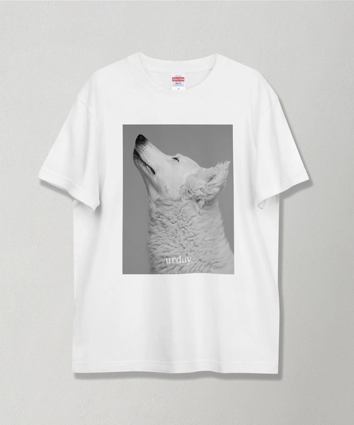 urday / White Dog / フォトTシャツ（Tシャツ/カットソー