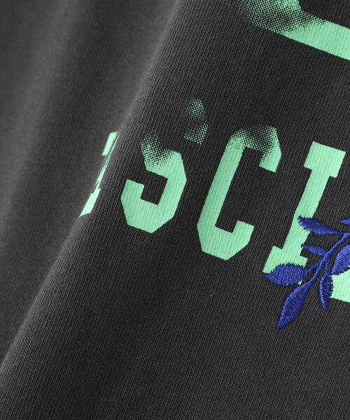 BEAVER(ビーバー)の「B omnivore/ビーオムニボー L/S COLLEGE(Tシャツ/カットソー・メンズ・ブラック/ホワイト・L/M)」の14枚目の写真