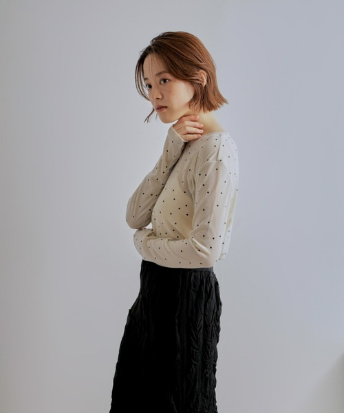 Olu.(オルドット)の「クルーネックシアーカットソー(Tシャツ/カットソー・レディース・ライトブルー/ドット・FREE)」の5枚目の写真