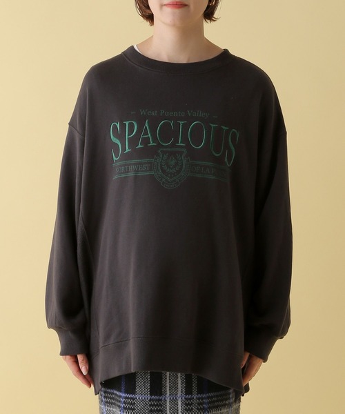 LEPSIM（レプシィム）の「【産前・産後対応】マタニティ／刺繍ロゴスウェット　200267（マタニティウェア/グッズ・レディース・チャコールグレー/グレー・FREE）」の17枚目の写真