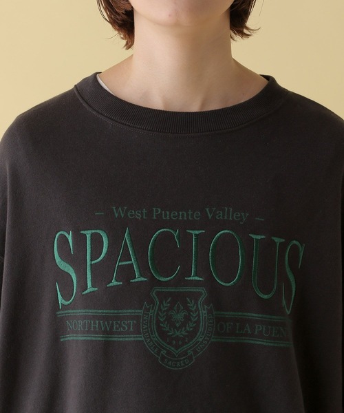 LEPSIM（レプシィム）の「【産前・産後対応】マタニティ／刺繍ロゴスウェット　200267（マタニティウェア/グッズ・レディース・チャコールグレー/グレー・FREE）」の14枚目の写真