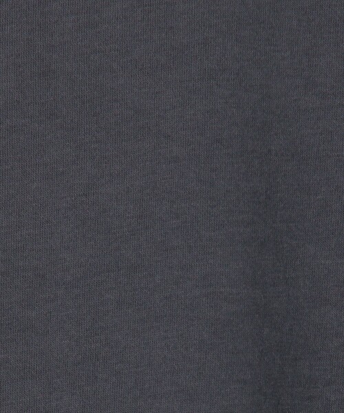 JAMES PERSE(ジェームスパース)の「コットンジャージー クルーネックTシャツ MBEL3614(Tシャツ/カットソー・メンズ・グレー/ブラック系その他・1)」の11枚目の写真