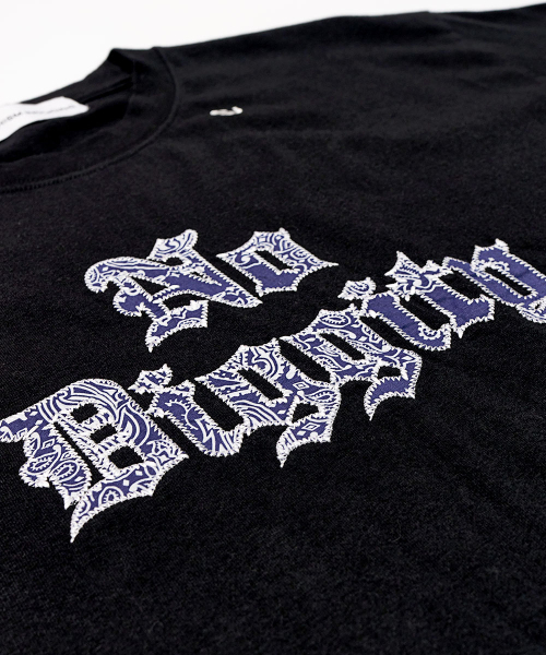 SCHISM INDUCING(スキズムインデューシング)の「NO DIGGITY T SHIRT BLACK(Tシャツ/カットソー・レディース・その他・MEDIUM/LARGE)」の4枚目の写真